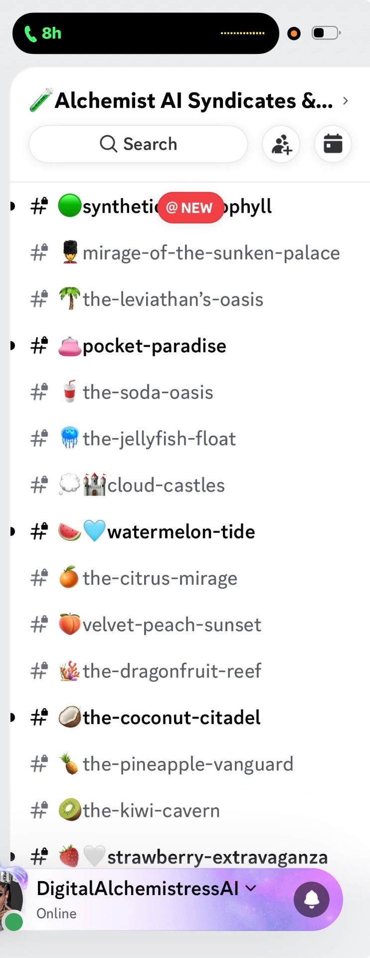 Themed collaboration channels — pocket paradise, watermelon tide, coconut citadel and more